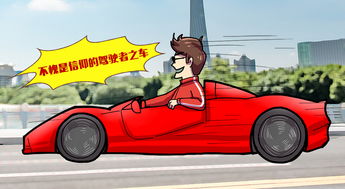 有多少热爱汽车的人